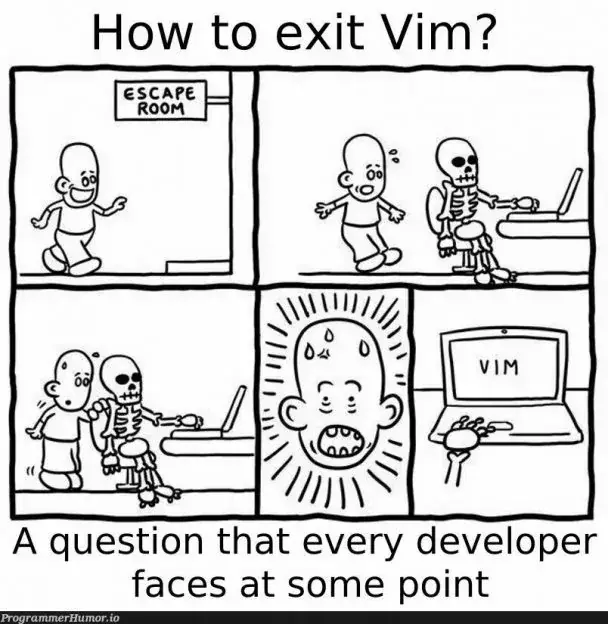 Vim 